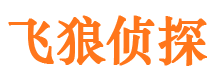 黄冈飞狼私家侦探公司